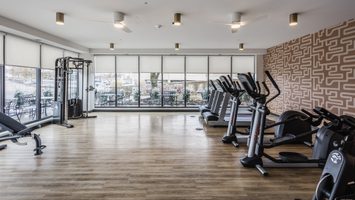 Gym equipment on wood floor with colorful wall